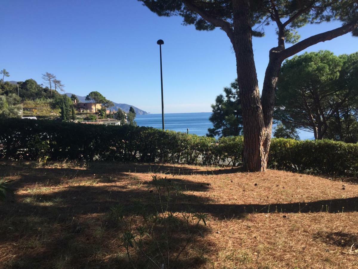 Il Nido Della Gazza Apartment Monterosso al Mare Exterior photo
